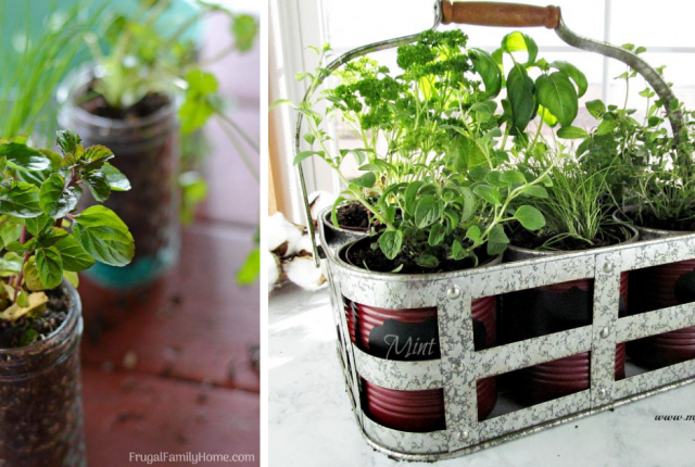 15 Fabulous DIY Herb Garden Ideas That Are Perfect For Beginners