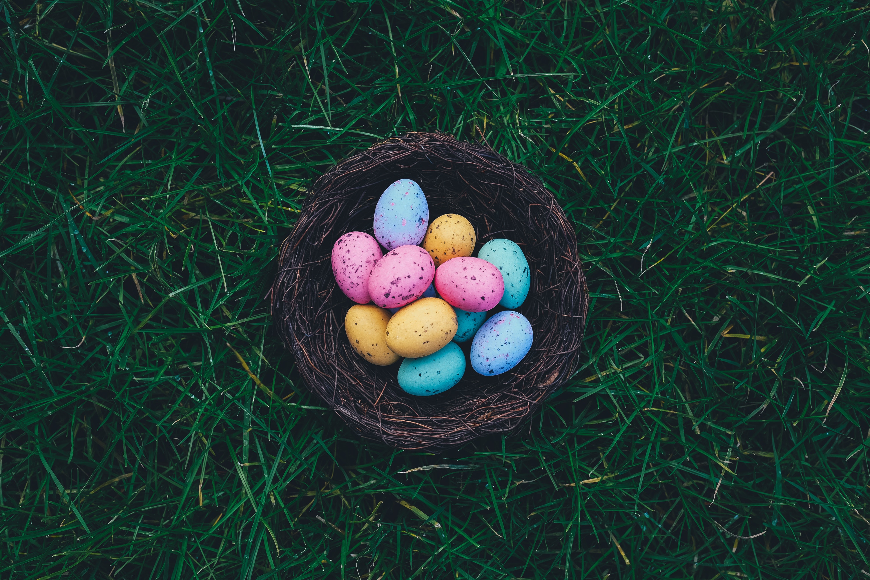 20 Egg cellent Captions And Quotes For Your Easter Pictures